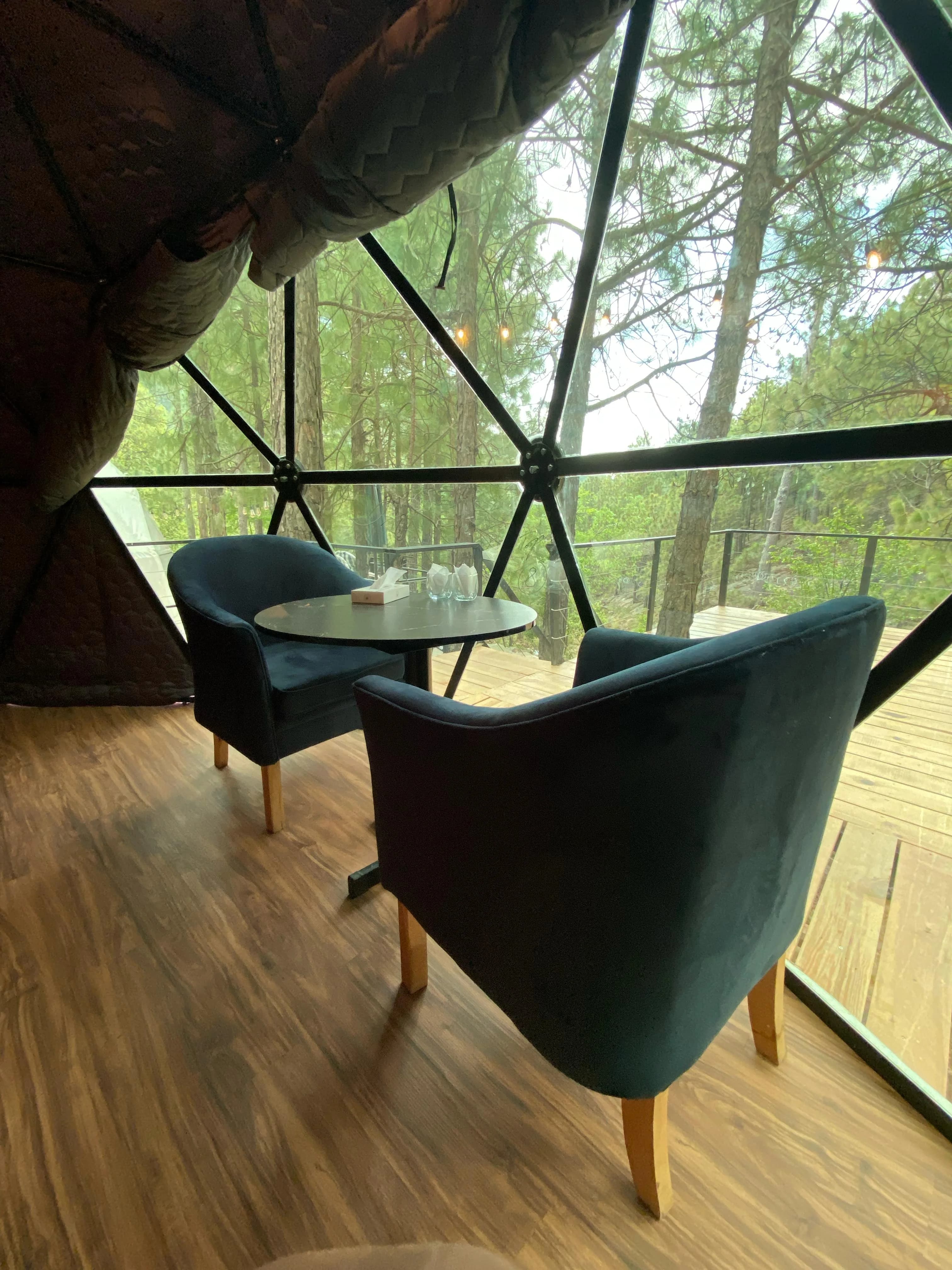 Interior 1