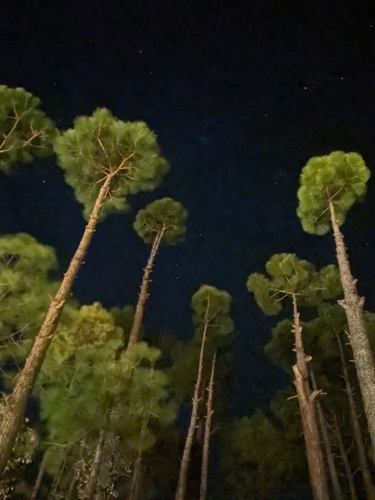 Rustling leaves glowing skies.