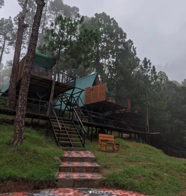 Instagram 1