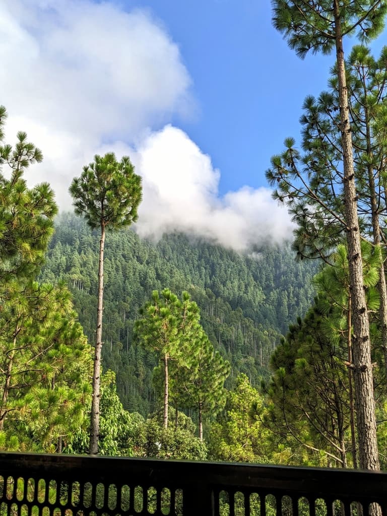 Wake up to Murree with misty mountain views.