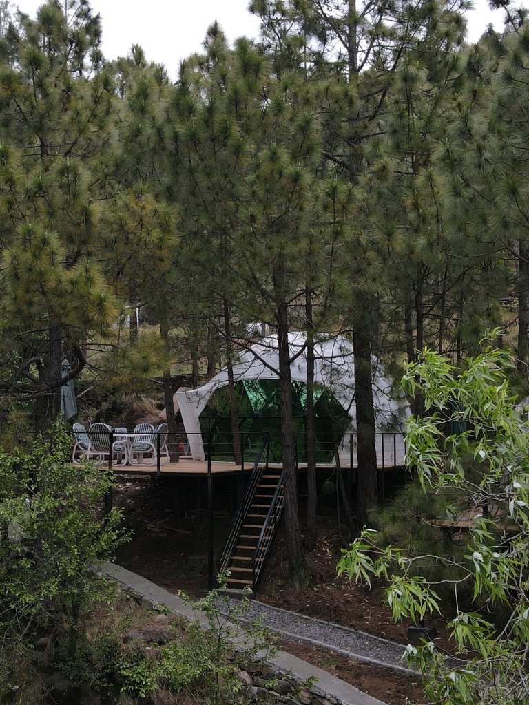 Murre Domes